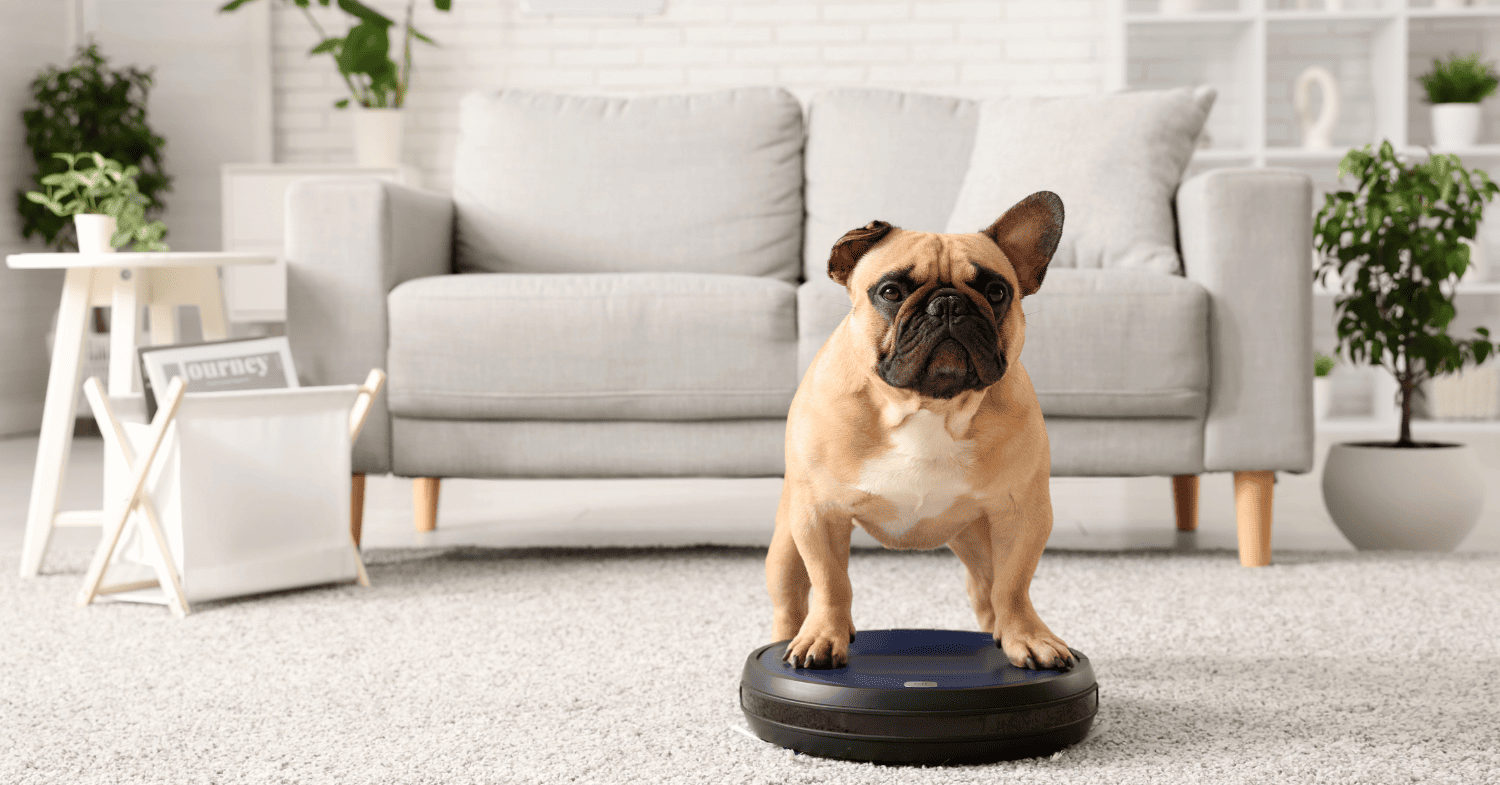 שואב שוטף רובוטי מומלץ - שואבים רובוטים שוטפים הכי מומלצים לשנת 2026