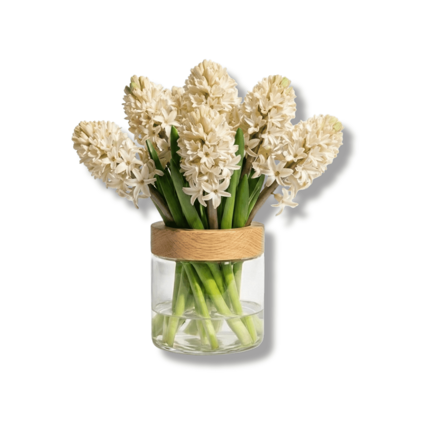 טקסטיל ועיצוב