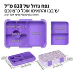 קופסת אוכל לבית הספר 810 מ״ל עם מידות וחלוקה לתאים